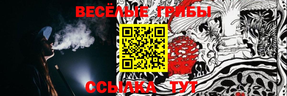 Псилоцибиновые грибы MAGIC MUSHROOMS Лиски